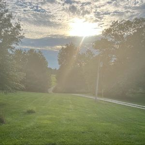 Meet your Posher, Joanie